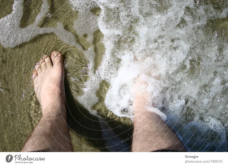 Holidays at last Joy Vacation & Travel Summer Summer vacation Beach Ocean Masculine Legs Feet 1 Human being Water North Sea Going To enjoy Soft Brown Moody