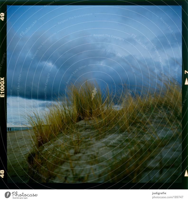 western beach Environment Nature Landscape Plant Water Sky Clouds Climate Storm Wind Gale Grass Coast Beach Baltic Sea Ocean Threat Dark Natural Wild Moody