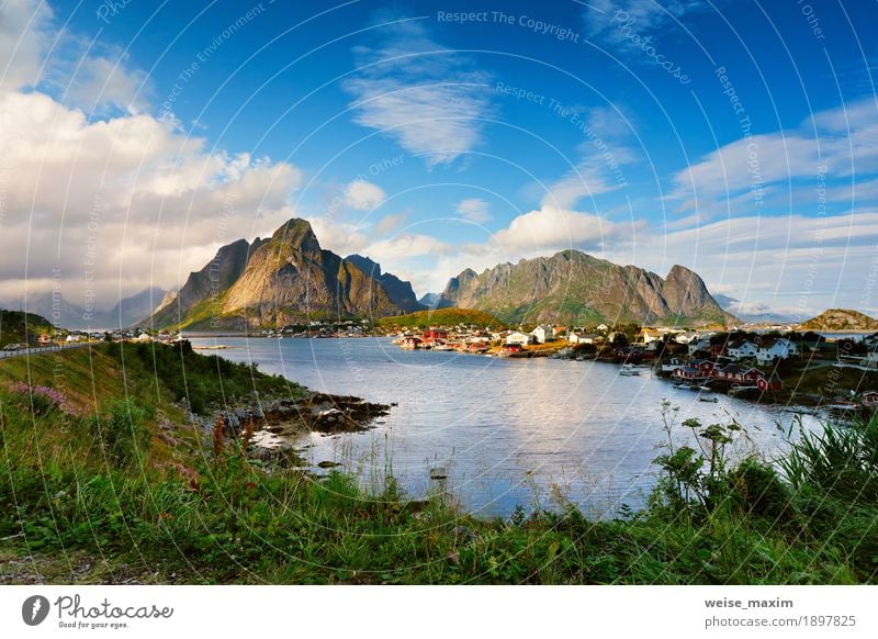 Norway village Reine on a fjord. Nordic cloudy summer day. Vacation & Travel Tourism Trip Adventure Freedom Summer Ocean Island Mountain