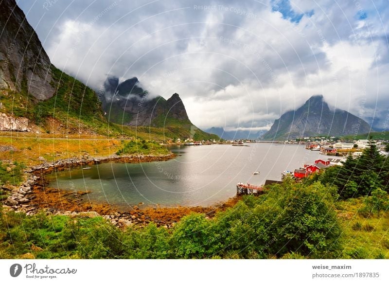 Norway village Reine on a fjord. Nordic cloudy summer day Vacation & Travel Tourism Trip Adventure Far-off places Freedom Sightseeing City trip Cruise Summer