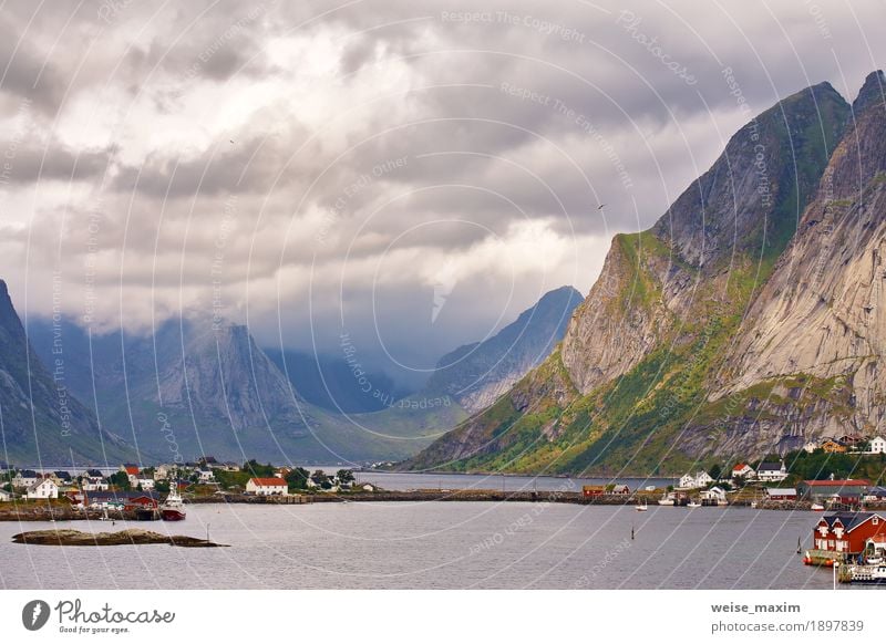 Norway village Reine on a fjord. Nordic cloudy summer Vacation & Travel Tourism Trip Summer Summer vacation Ocean Island Mountain Living or residing