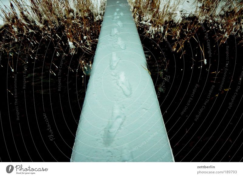 test of courage Snow Snowfall Footbridge Tracks Snow track Bridge Water Lake Coast Lakeside River bank Jetty