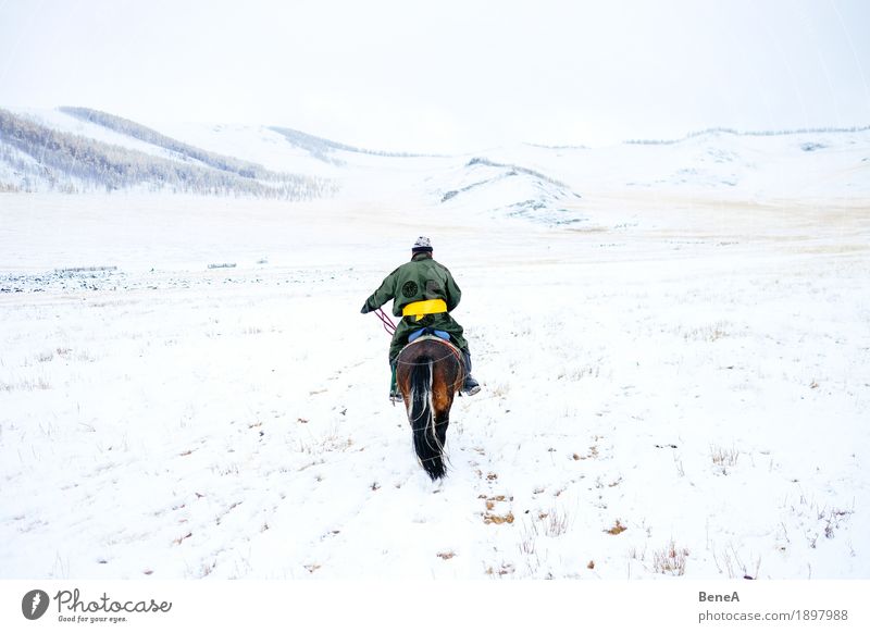 Man with horse in wintry steppe with snow, Mongolia Winter Adventure Loneliness Discover Freedom Mobility Nature Vacation & Travel Tradition Logistics