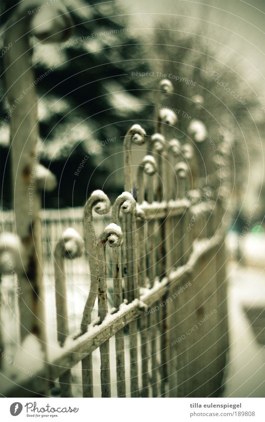 stops Trip Weimar Germany Europe Deserted Garden fence Old Gloomy Cold Transience Blur Calm Winter Fence Conquer Colour photo Exterior shot Copy Space top