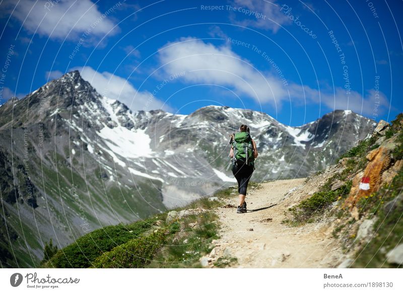 Woman with rucksack goes mountain hiking in Vinschgau, Italy Sports Human being Adults Nature Going Hiking Relaxation Leisure and hobbies Vacation & Travel