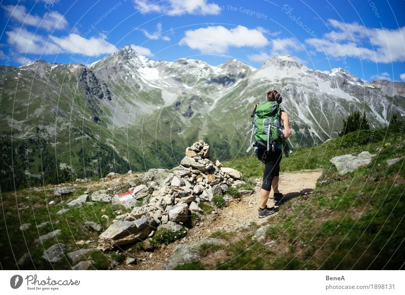 Woman with rucksack goes mountain hiking in Vinschgau, Italy Sports Human being Adults Nature Relaxation Fitness Leisure and hobbies Vacation & Travel Alpine