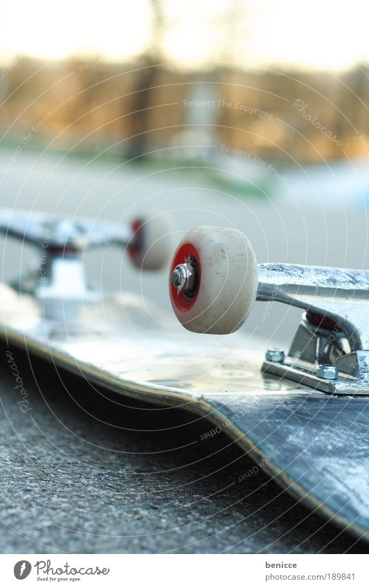 skate Skateboarding Street Leisure and hobbies Accident Cool (slang) Wheel Asphalt Deserted Empty Things Sports Lie