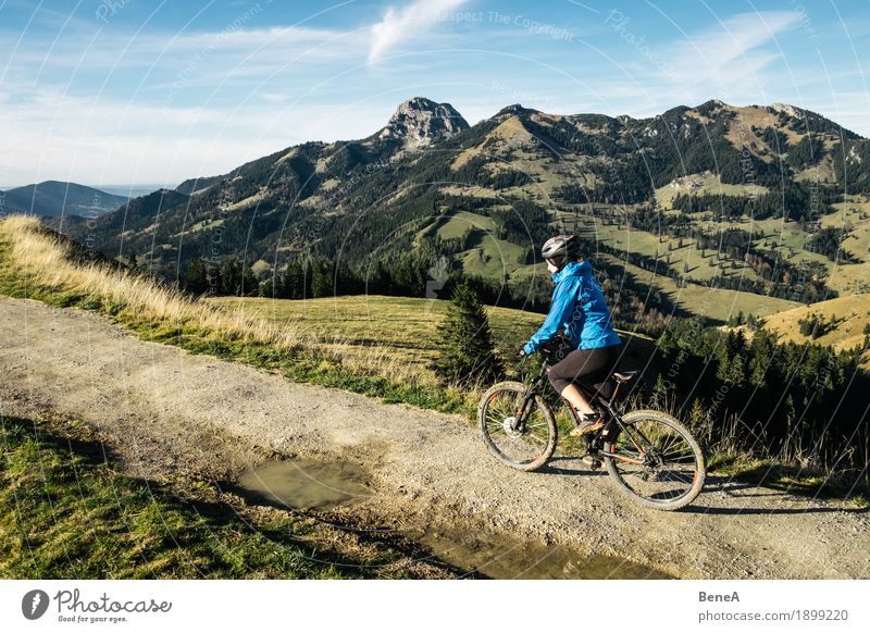 Mountain bike rider at Sudelfeld with a view of Wendelstein Sports Woman Adults Nature Driving Fitness Experience Leisure and hobbies Joy Alpine Germany Action