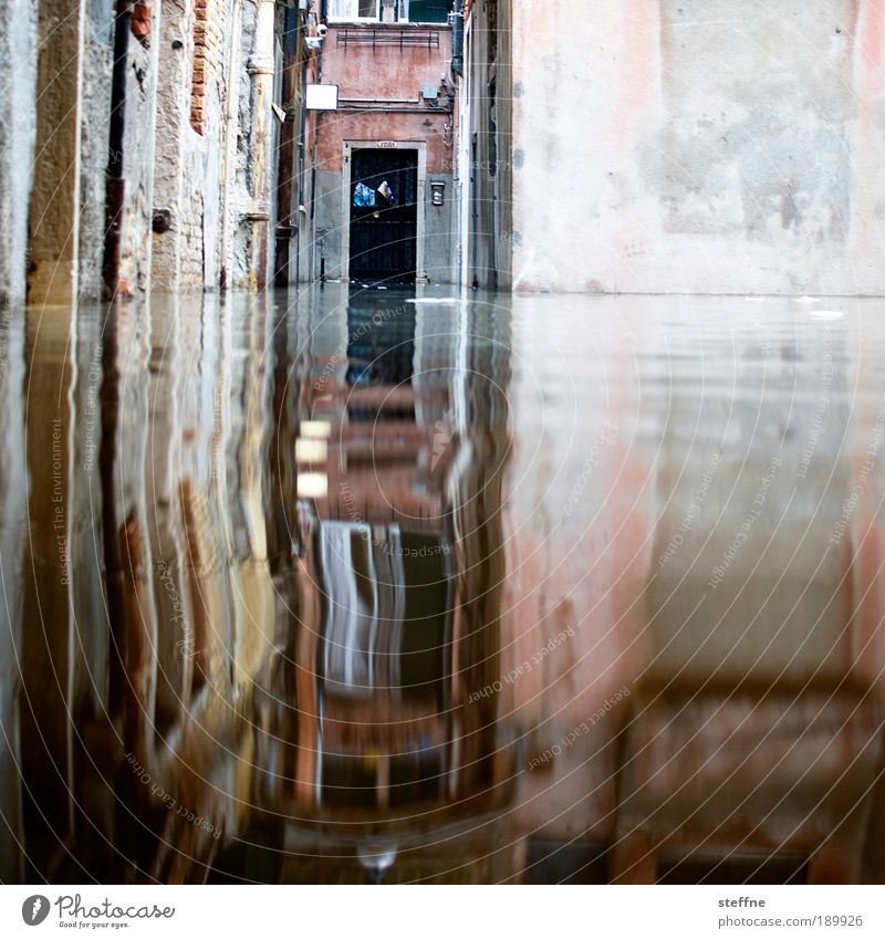 acqua alta Water Venice Italy Wall (barrier) Wall (building) Door Exceptional Flood Deluge High tide Text space top right Colour photo Exterior shot Reflection