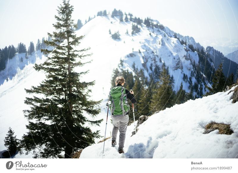 Woman hiking through the snow-covered Hochries mountain landscape Relaxation Vacation & Travel Winter Sports Adults Nature Fitness Movement Discover Experience