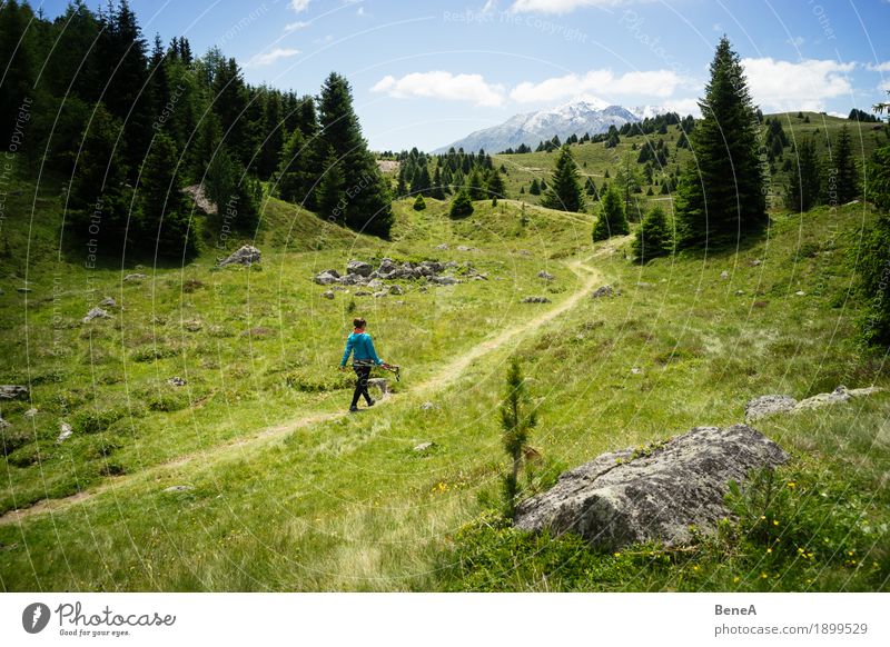 Woman wanders through the Plamorter Boden, Vinschgau, Italy Sports Human being Adults Nature Bog Marsh Going Hiking Relaxation Leisure and hobbies