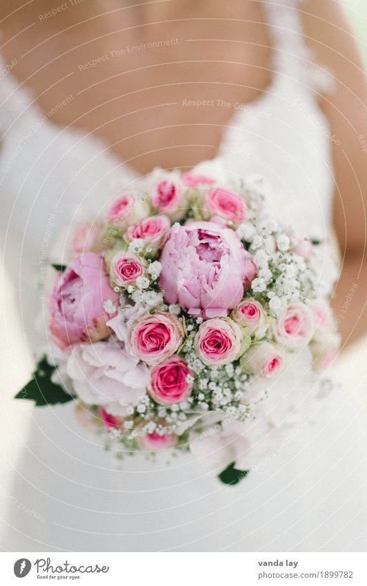 bridal bouquet Wedding Feminine Young woman Youth (Young adults) Woman Adults Life 1 Human being Flower Rose Peony Baby's-breath Bouquet Love Religion and faith