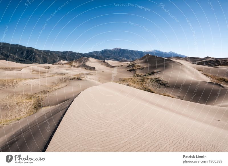 Great Sand Dunes National Park, Colorado Contentment Senses Relaxation Vacation & Travel Tourism Trip Adventure Far-off places Expedition Summer Hiking