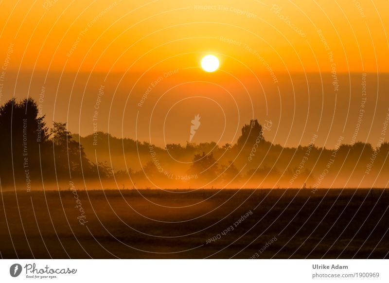 September Fog Style Design Arrange Interior design Decoration Wallpaper Image Card Poster Nature Landscape Sky Sun Sunrise Sunset Autumn Winter Meadow Field