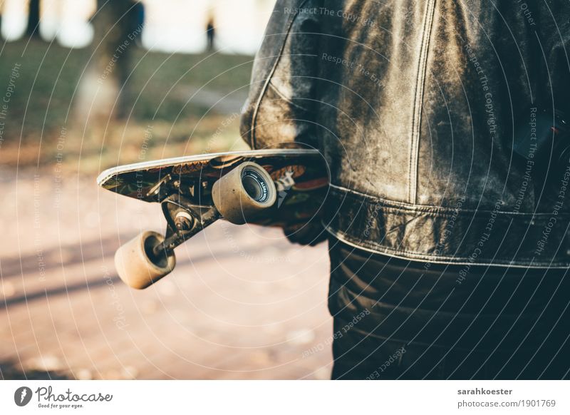 Longboarder at sunset Human being Masculine Young man Youth (Young adults) Youth culture Skateboard Jacket Leather Utilize Driving To hold on Fitness Sports