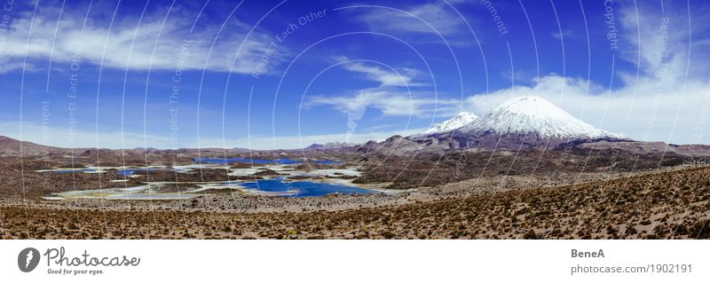 Panorama with Laguna Cotacotani and volcano Parinacota in Chile Nature Large Infinity Natural Wild Exotic Vacation & Travel Environment Environmental protection