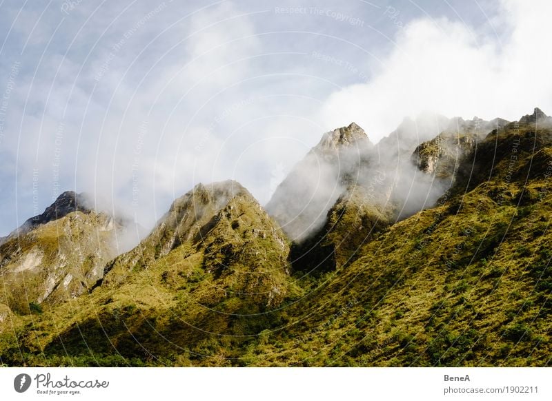 Peaks of green mountains in the Andes between clouds Adventure Expedition Mountain Hiking Climbing Mountaineering Environment Nature Landscape Plant Clouds