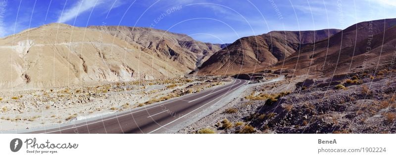 Pass road through the landscape of the Atacama Desert Vacation & Travel Adventure Far-off places Expedition Nature Landscape Cloudless sky Beautiful weather