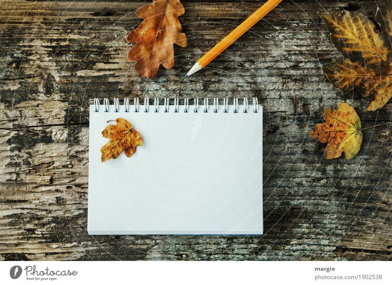 Autumn leaves and pencil on old wood with spiral writing pad Study Profession Office work Advertising Industry Business To talk Write Yellow White Pen Pencil