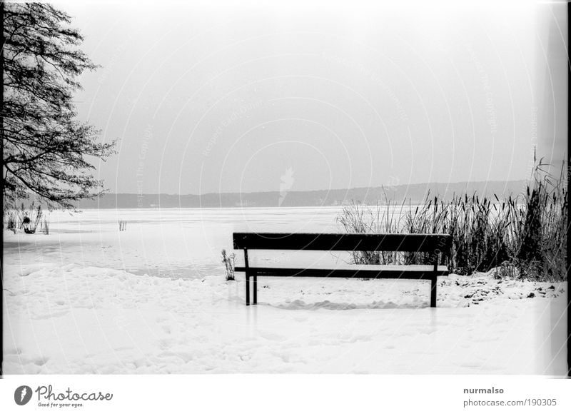 Place at the Wintergrey Trip Snow Hiking Art Nature Landscape Water Climate Ice Frost Common Reed pompel Coast Lakeside Municipality of Schwielowsee Bench