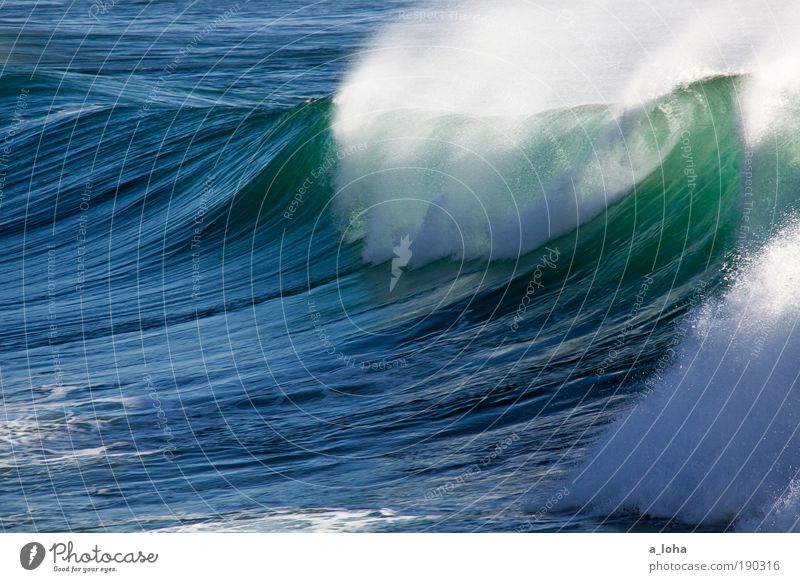 The Wave Nature Elements Water Beautiful weather Waves Coast Ocean Drop Movement Fluid Gigantic Large Wet Blue Green Power Longing Wanderlust Dangerous Chaos