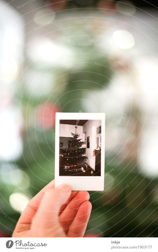 Christmas tree Christmas & Advent Hand Photography Polaroid Picture-in-picture To hold on Old Emotions Moody Anticipation Nostalgia Memory Christmas mood