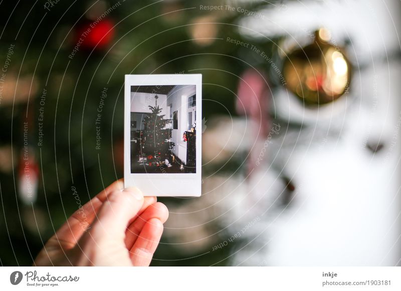 Back then. Christmas. Lifestyle Living or residing Christmas & Advent Hand Christmas decoration Christmas tree Polaroid Picture-in-picture To hold on Equal