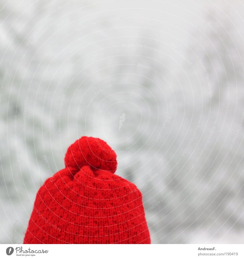 Little Red Riding Hood Winter Snow Head Hair and hairstyles Clothing Cap Freeze Cold Warmth winter cap Woolen hat Tuft Bobble hat Headwear Colour photo