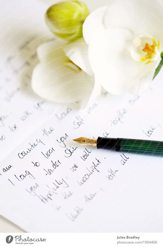 Write love letter, write letter Letter (Mail) Valentine's Day Flower Orchid Paper Pen Love Fragrance Beautiful Emotions Trust Sympathy Infatuation Romance