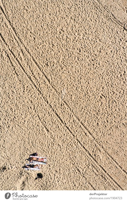 Tracks and deposit on the beach in Portugal IV Looking Central perspective Deep depth of field Reflection Silhouette Contrast Shadow Light Day Copy Space bottom