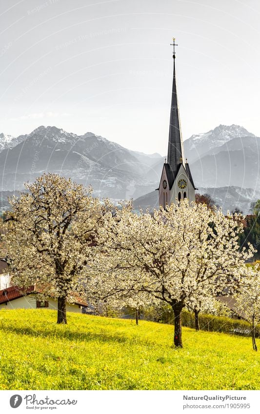 church in fraxern Vacation & Travel Summer Nature Landscape Spring Hill Alps Mountain Air Traffic Control Tower Federal State of Vorarlberg Austria village town