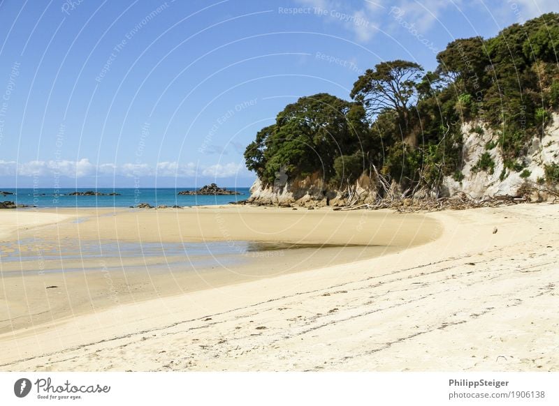 Beach in New Zealand Environment Nature Sand Sky Climate Beautiful weather Coast Bay Ocean Hiking Tree Low tide Low water Travel photography Island Break