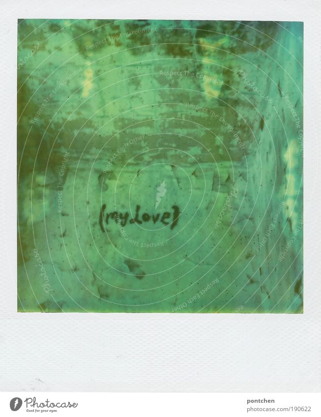Polaroid shows space. Plaster crumbles from the walls. On one wall is Max Love. Romance, decay. Lost place Youth culture Subculture