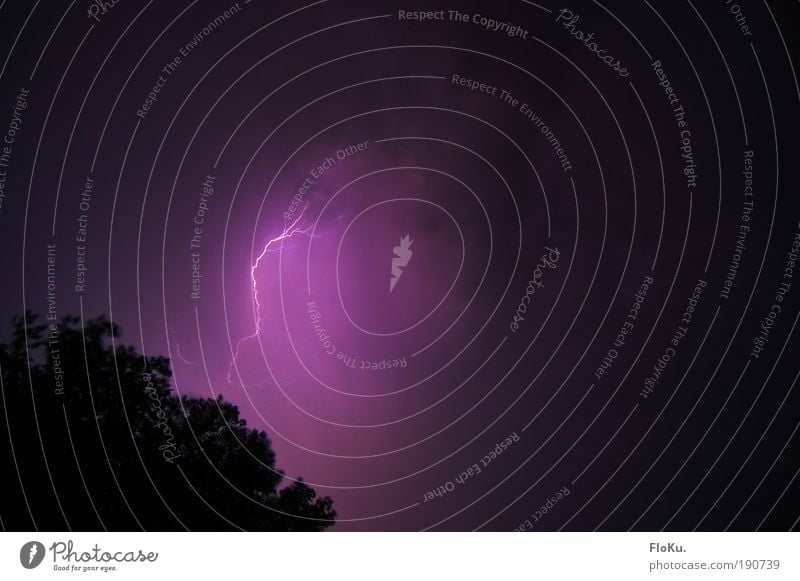 discharge Storm clouds Summer Climate Climate change Weather Bad weather Thunder and lightning Lightning Exceptional Threat Dark Violet Pink Black Energy