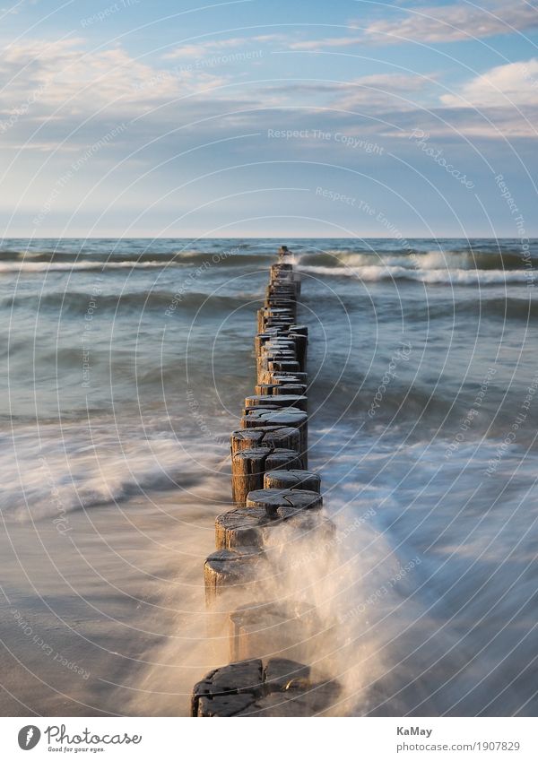 Waves, sea and groynes Calm Summer Ocean Nature Landscape Water Clouds Horizon Coast Baltic Sea Fluid Blue Far-off places Body of water Germany travel