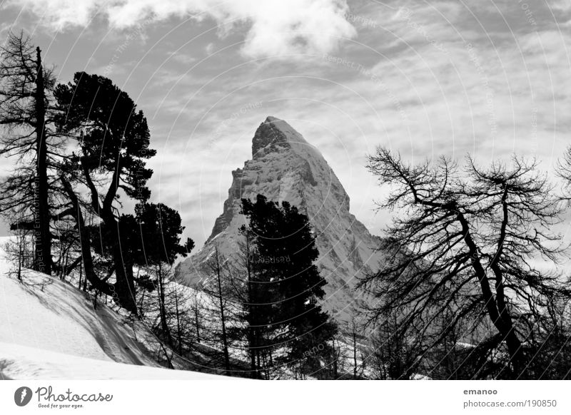Matterhorn behind it Winter Snow Winter vacation Mountain Snowboard Nature Landscape Plant Climate change Tree Forest Means of transport Train travel