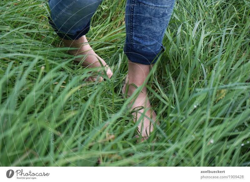 barefoot in the grass Healthy Well-being Leisure and hobbies Human being Feminine Girl Young woman Youth (Young adults) Woman Adults Feet 1 18 - 30 years Nature