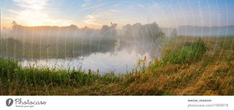 Summer misty sunrise on the river. Foggy river in the morning Vacation & Travel Tourism Freedom Nature Landscape Sunrise Sunset Beautiful weather Tree Grass