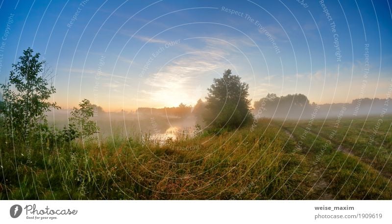 Summer misty sunrise on the river. Foggy river in the morning Vacation & Travel Trip Adventure Nature Landscape Sky Beautiful weather Tree Grass Bushes Meadow