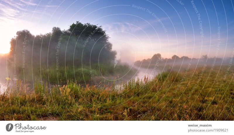 Summer misty sunrise on the river. Foggy river in morning Vacation & Travel Tourism Summer vacation Nature Landscape Sky Beautiful weather Tree Grass Bushes