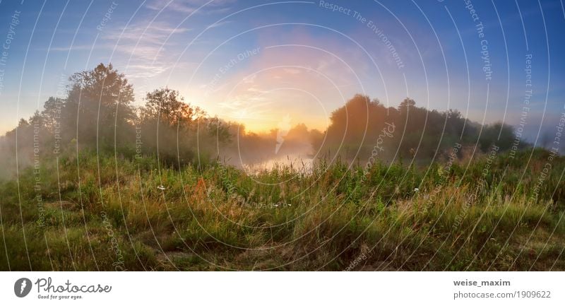 Summer misty sunrise on the river. Foggy river in the morning Vacation & Travel Tourism Adventure Freedom Summer vacation Sky Beautiful weather Tree Grass