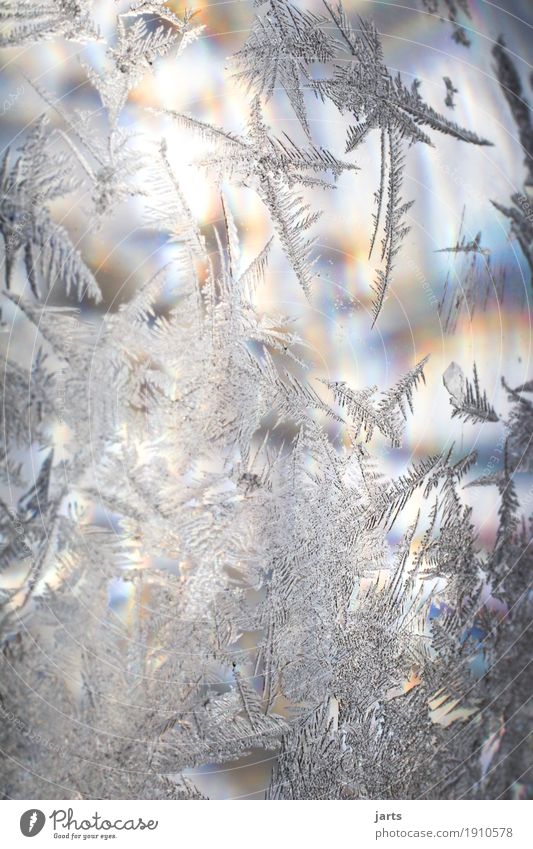 iceflower mitregenbogenfarben Sunlight Winter Beautiful weather Ice Frost Glass Illuminate Cold Positive Frostwork Ice crystal Glass ball Rainbow Colour photo