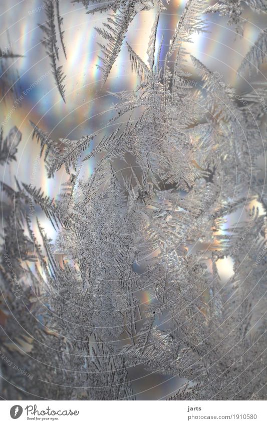 freezing cold Winter Beautiful weather Ice Frost Glass Fresh Cold Natural Nature Frostwork Ice crystal Glass ball Colour photo Multicoloured Exterior shot