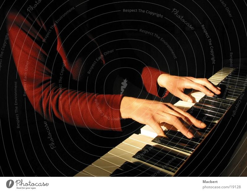 piano playing Piano Hand Woman Music Touch table tripod Sun