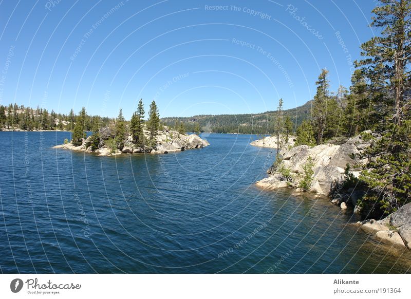 Silver Lake Nature Landscape Elements Water Cloudless sky Summer Beautiful weather Tree Wild plant Forest Rock Mountain Island Breathe Relaxation Esthetic Cold