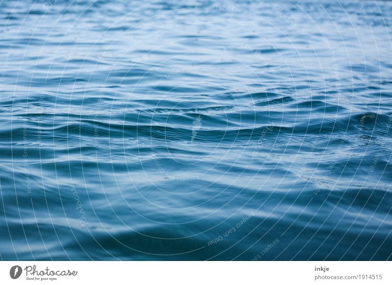 Le Grand Bleu Water Waves North Sea Ocean Surface of water Blue The deep Deep Smoothness Seaside atmopshere Surface structure Colour photo Exterior shot