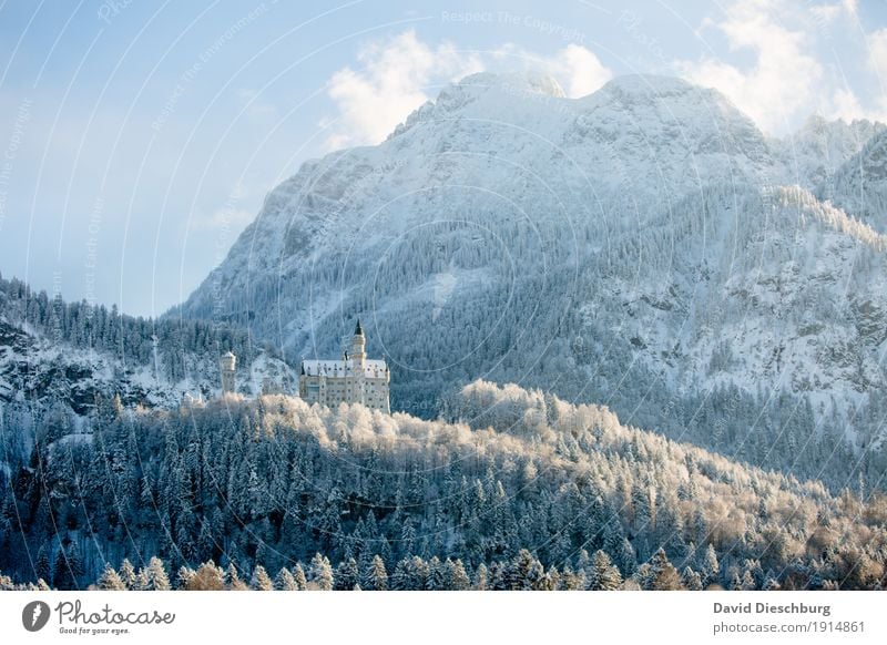 Neuschwanstein Castle Vacation & Travel Tourism Adventure Sightseeing Winter Snow Winter vacation Mountain Nature Landscape Sky Clouds Beautiful weather Ice