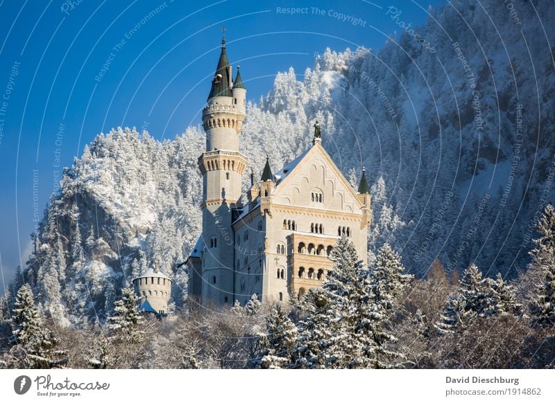 Neuschwanstein Castle Vacation & Travel Tourism Trip Sightseeing Winter Snow Winter vacation Mountain Nature Landscape Cloudless sky Beautiful weather Ice Frost
