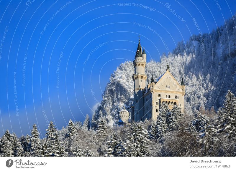 tourist magnet Vacation & Travel Tourism Sightseeing Nature Landscape Winter Beautiful weather Ice Frost Snow Plant Tree Forest Mountain Palace Castle