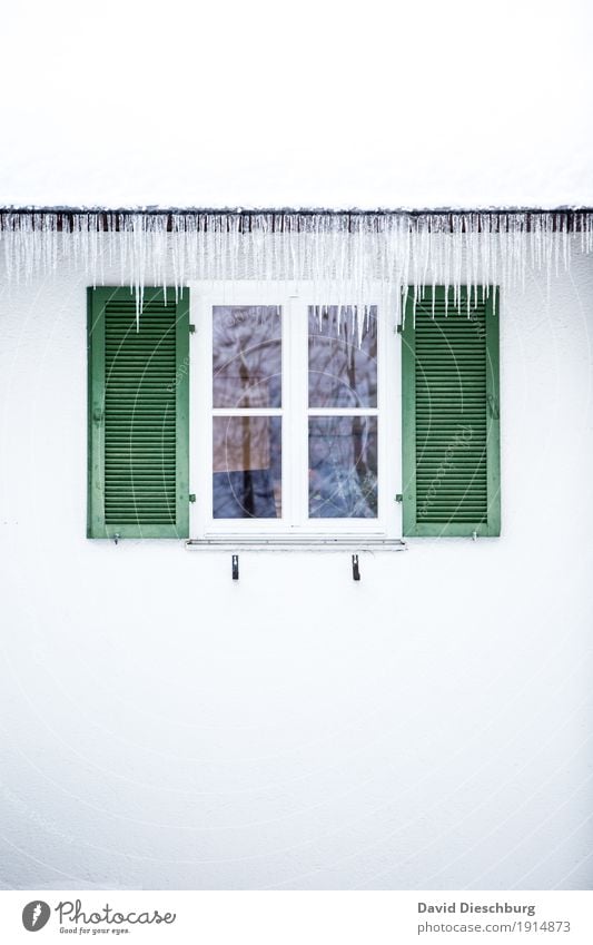 ice age Vacation & Travel Adventure Winter Winter vacation Beautiful weather Ice Frost House (Residential Structure) Facade Window Roof Eaves Green White Icicle